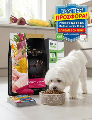Prospera Plus Medium Junior 15 kg