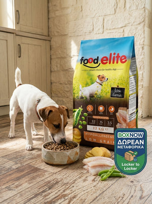 Food Elite Hypoallergenic Low Grain Adult Chicken & Fish 12kg | Free BOX NOW delivery for 1 package