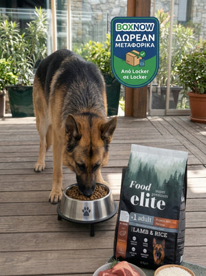 Food Elite Maintenance Lamb & Rice 15kg | Free BOX NOW for 1 package