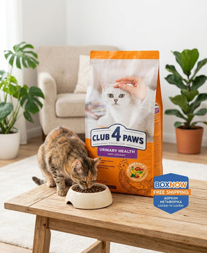Club 4 Paws Cat Urinary Health with Chicken 14 kg / BOX NOW buy 1 get 1 free