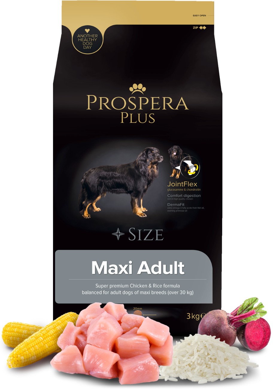 Prospera Plus Maxi Adult τροφή σκύλου 3kg για μεγαλόσωμες φυλές με γλυκοζαμίνη και χονδροϊτίνη
