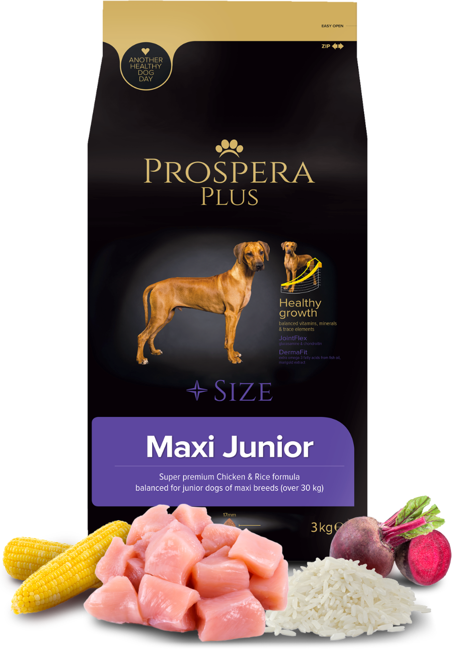 Prospera Plus Maxi Junior τροφή σκύλου 3kg για κουτάβια μεγαλόσωμων φυλών με γλυκοζαμίνη και χονδροϊτίνη
