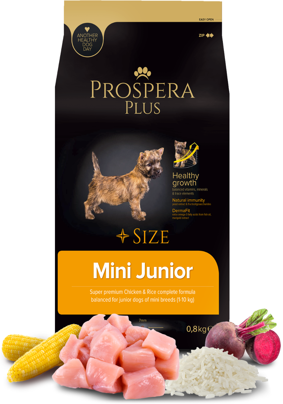 "Prospera Plus Mini Junior τροφή σκύλου 8kg για κουτάβια μεσαίου μεγέθους"